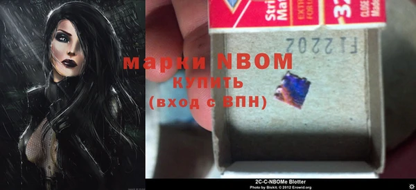 хмурый Алексин