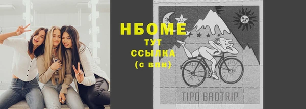хмурый Алексин