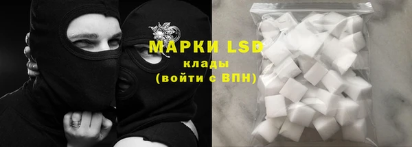 ПСИЛОЦИБИНОВЫЕ ГРИБЫ Алзамай