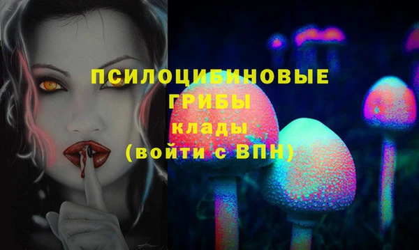 хмурый Алексин