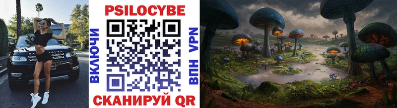 Псилоцибиновые грибы прущие грибы  Сыктывкар 